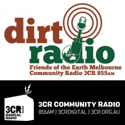 Dirt Radio November 14