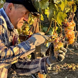 Native Yeasts with Troon Vineyard Winemaker Nate Wall
