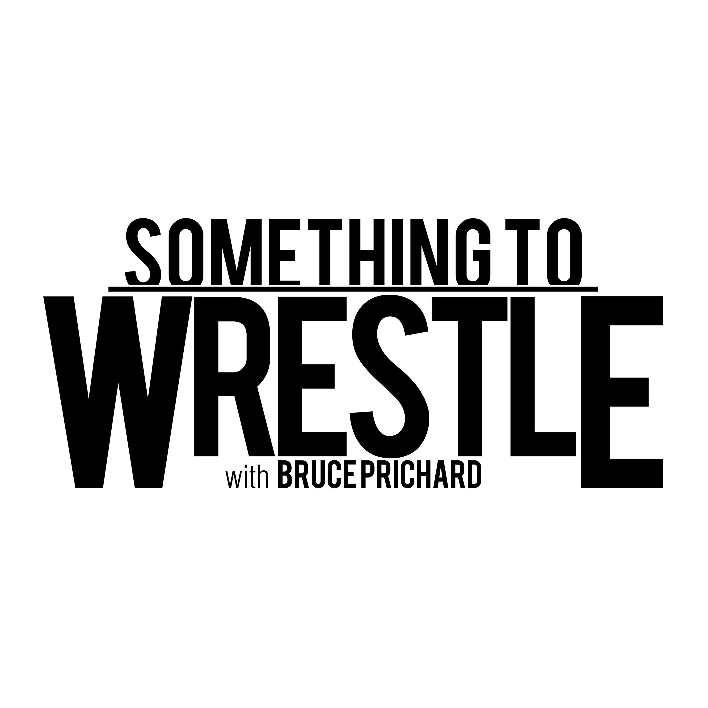 episode-225-saturday-nights-main-event-07-28-90-something-to-wrestle