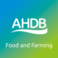 77: Martin Williams interviews the AHDB 