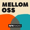 Mellom oss