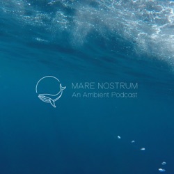 Mare Nostrum 43 by Le Code