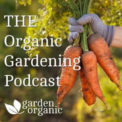 S3 Ep1: January - Even garden pests deserve a meal! How to grow with nature, not against it.