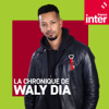 La chronique de Waly Dia - France Inter
