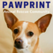 Pawprint | animal rescue podcast for dog, cat, and other animal lovers