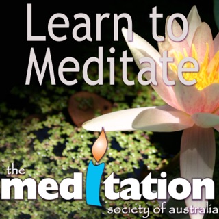 ‎Meditation Station by Stin Hansen on Apple Podcasts