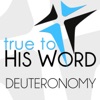 Book of Deuteronomy - with Pastor Brian Larson artwork