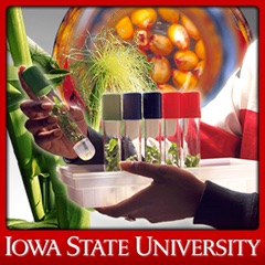 Nutrition Education for Cancer Prevention