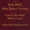 ABP - King James Version - One Hour A Day - January Start artwork