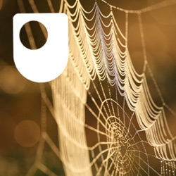 Investigating spiders: life on a thread - for iPod/iPhone
