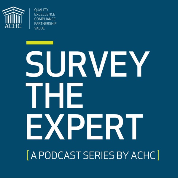 Podcasts: Survey The Expert Artwork