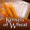 Kernels of Wheat Podcast artwork