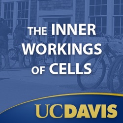 The Inner Workings of Cells, Winter 2008