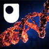 DNA, RNA and protein formation - for iPad/Mac/PC artwork
