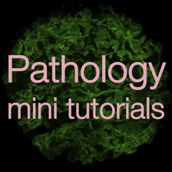 Pathology Mini Tutorials