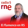 El flamenco en R5