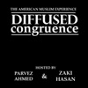 Diffused Congruence: The American Muslim Experience artwork