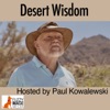 Desert Wisdom artwork