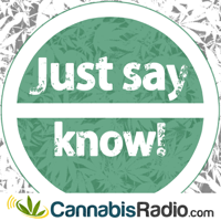 Laura Lagano from Holistic Cannabis Network