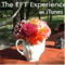 The EFT Experience: Sharing the Art of Emotional Freedom