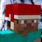 Minecraft In The Morning 01