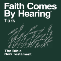 Türkçe İncil Halk Dilinde 2012 (dramatize değil) - Turkish Bible (Non-Dramatized) podcast