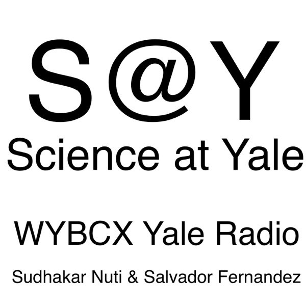 S@Y: Science at Yale Artwork