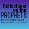 Reflections on the Prophets - 2 artwork