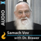 Understanding Chassidus (Audio)