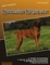 Unser Traumhund: Rhodesian Ridgeback - Sascha Kelabessa