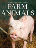 Farm Animals - Snapshot Picture Library