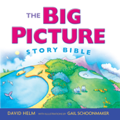 The Big Picture Story Bible - David Helm & Gail Schoonmaker