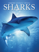 Sharks - Snapshot Picture Library