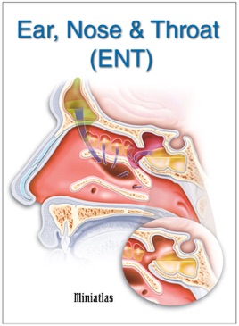 epub lets do our best for the ancient tongue the