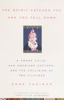 Anne Fadiman - The Spirit Catches You and You Fall Down artwork