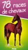 78 races de chevaux et poneys - Caroline Hemery, Vincent Fournier & Helen Zubriichuk