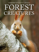 Forest Creatures - Snapshot Picture Library