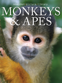 Monkeys & Apes - Snapshot Picture Library