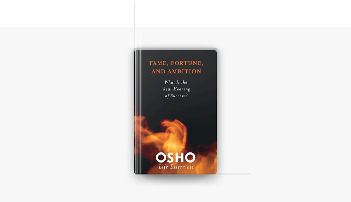 Fame Fortune And Ambition On Apple Books