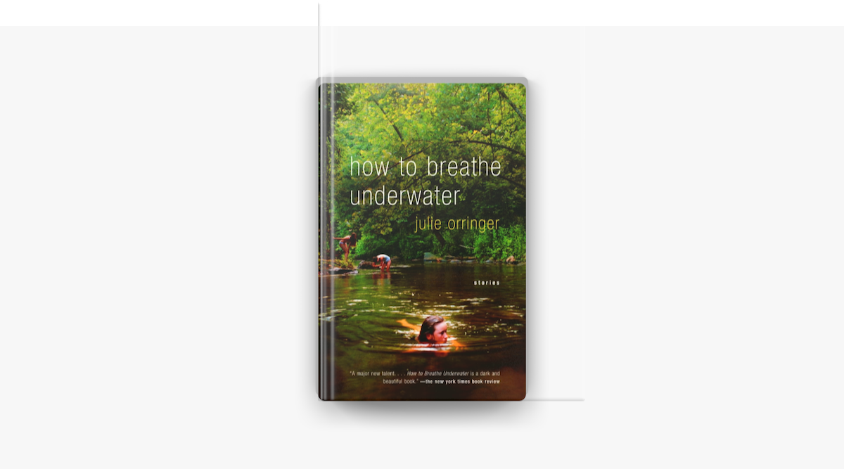 The isabel fish by julie orringer essay 08 picture