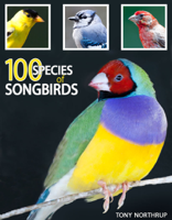 Tony Northrup - 100 Species of Songbirds: A Picture Book for Bird Watchers and Lovers artwork