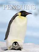 Penguins - Snapshot Picture Library