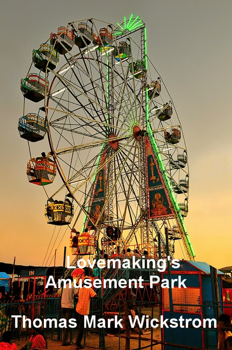 Lovemaking's Amusement Park