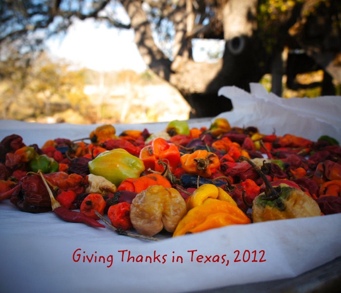 Giving Thanks in Texas