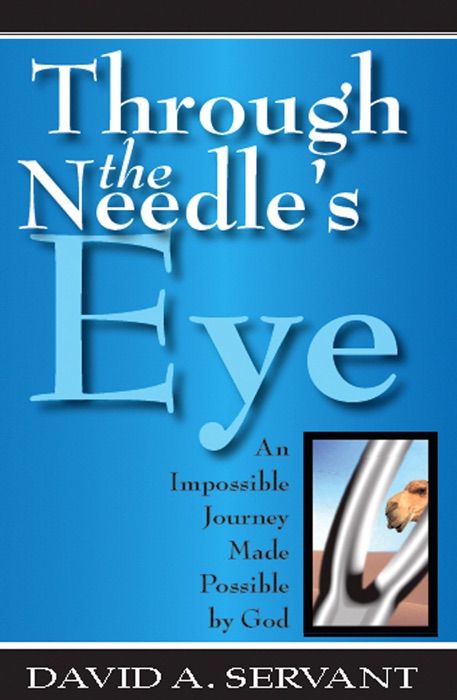 Through The Needles Eye
