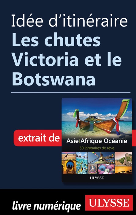 Idée d'itinéraire - Les Chutes Victoria et le Botswana