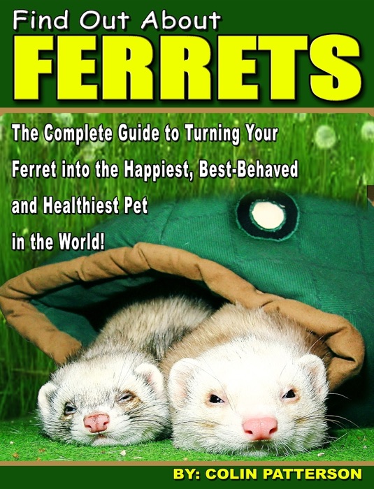 Find Out About Ferrets