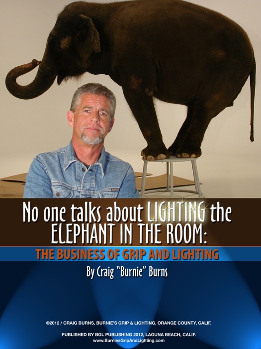 No One Talks About Lighting the Elephant in the Room: The Business of Grip and Lighting