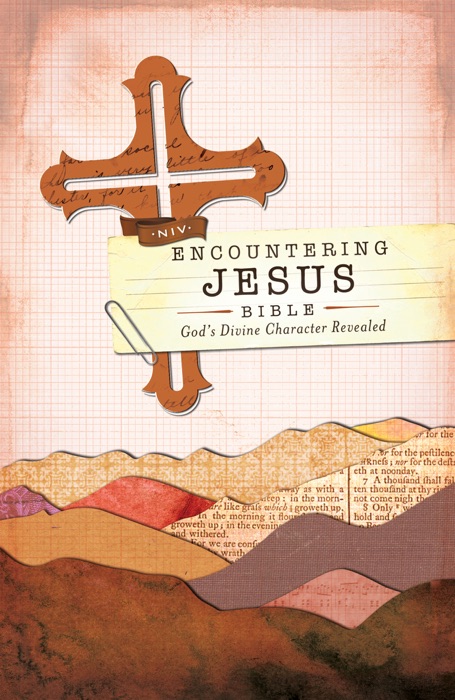NIV, Encountering Jesus Bible