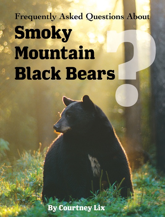 Frequently Asked Questions About Smoky Mountain Black Bears